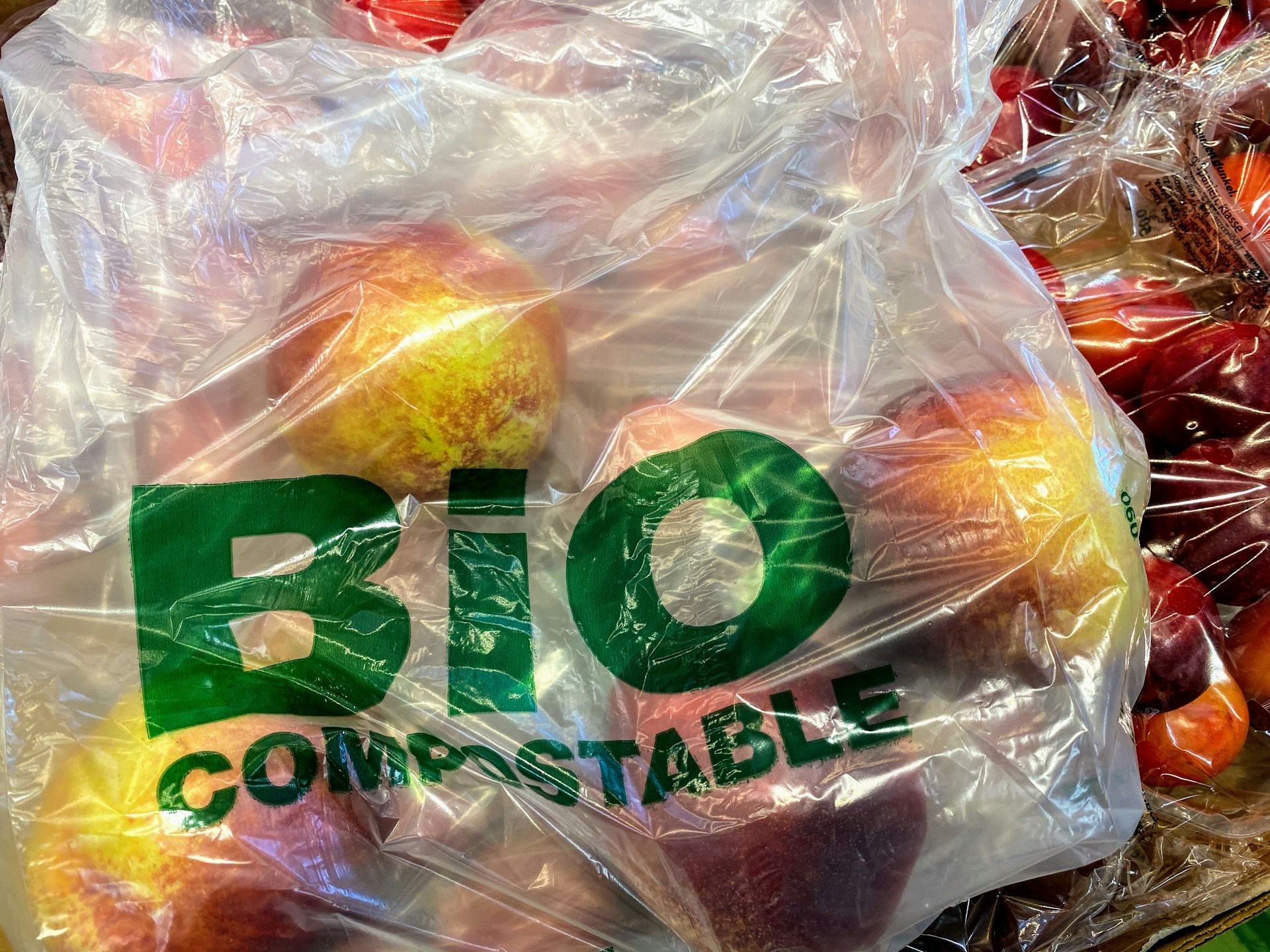 Can I Put Plastic in GEME Composter?
